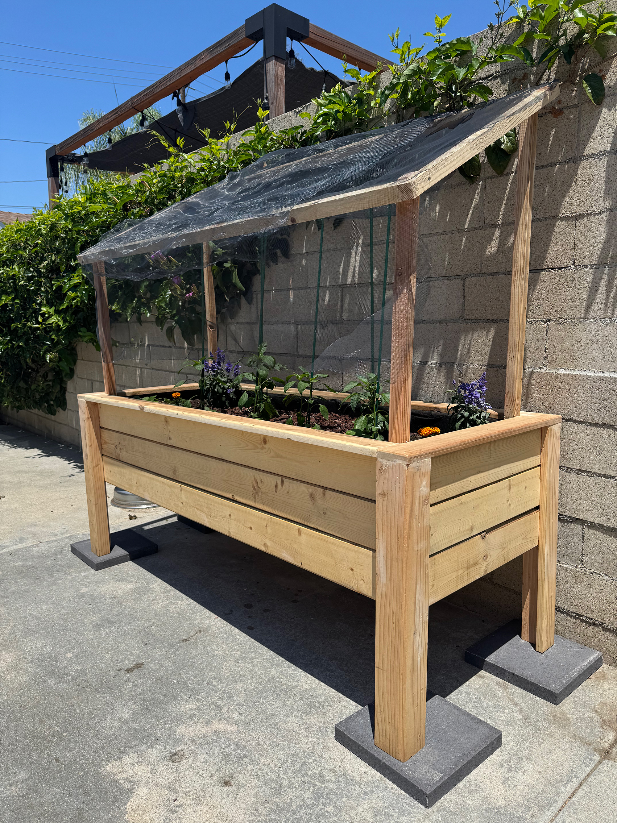 Upcycled wood raised garden bed on pavers with a clear screen shade cover, plants inside, and notched 4×4 legs in a sunny outdoor setting.